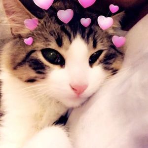 Meet your Posher, Richie